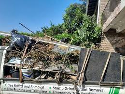 Best Hoarding Cleanup  in Seth Ward, TX